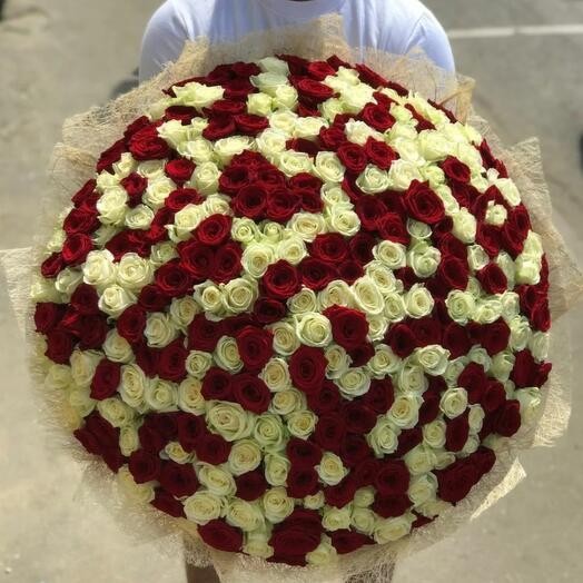 Букет цветов "201 красно-белая роза" Букет цветов "201 красно-белая роза"